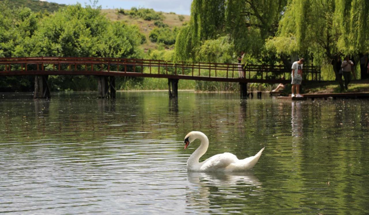 British Hotel Pogradec Exterior foto